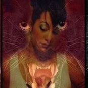 Crystal Johnson's photo