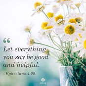 Lauren Gifford's photo