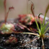 Ocho (z9 - Istanbul)'s photo