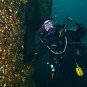 Danielle LaVecchio's photo
