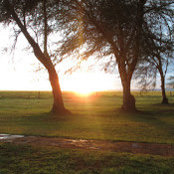 Audrey Johnson's photo