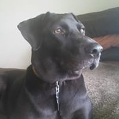 Troy Bell's photo