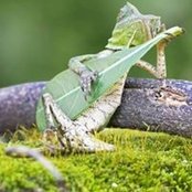 Foto von Skyler Sostman