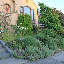 yard