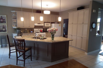 Kitchen - contemporary kitchen idea in Toronto