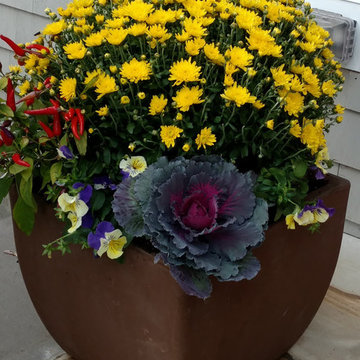 Planter & Container Garden Design - Fairfield County, CT