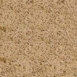 QUARTZ COUNTER TOP AND FLOOR - Kitchen Countertops
