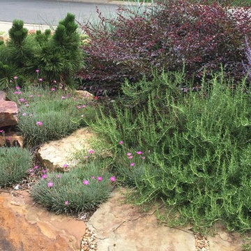 Front garden, 2 years after installation.