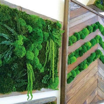 Custom Moss Walls