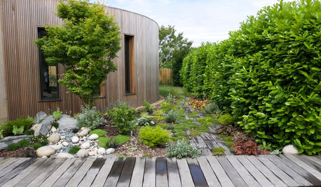 Avant/Après : La métamorphose d'un jardin sublime une extension