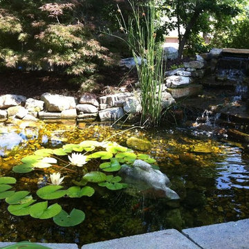 Amazing Scapes Pond Projects