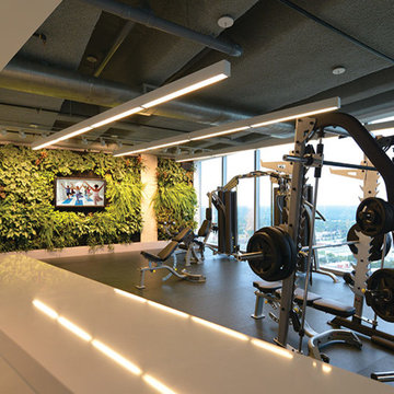 Project Gallery