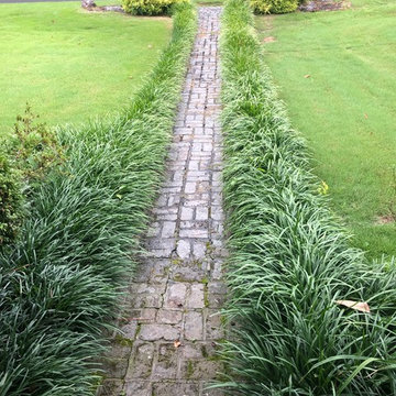 Paver Patio/Sidewalk Update