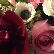 Casey Armanino's photo