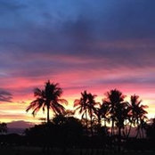 Jennine Foran's photo