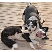 Cornelia Jones's photo
