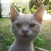 Simona Materazzini's photo