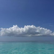 Alegria Bbr's photo