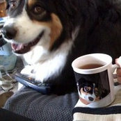 Foto de Marlene Woolf
