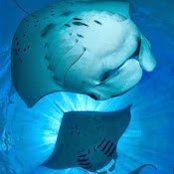 Dan Glater's photo
