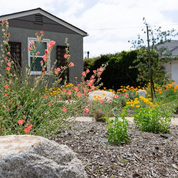 Front Yard Makeover
