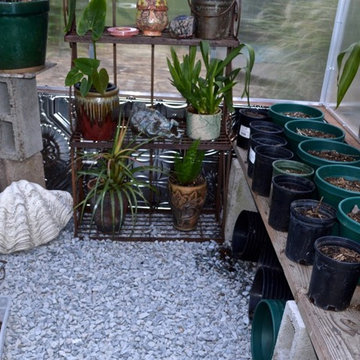 Rustic Wood Shelving Inside A Greenhouse