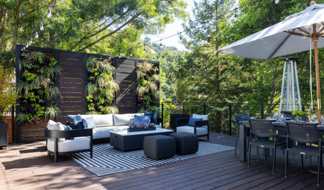 Are You Doing These 6 Things to Make Your Yard Feel Smaller?
