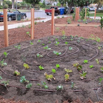Edible Landscape and xeriscape