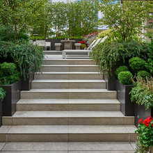 Stairs With Planting