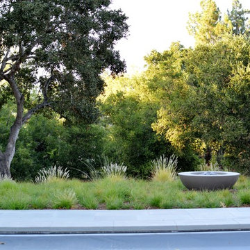 Los Altos Landscape Garden Design