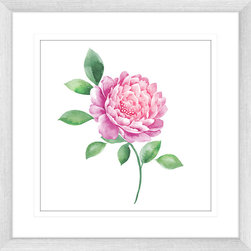 Flora and Fauna Collection - Framed Art Prints (FAUN10) - Artwork