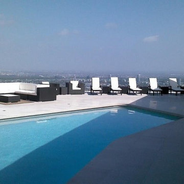DAVID CHOW -BLUEJAY HOLLYWOOD