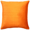 Pillow Decor Sankara Silk Throw Pillows 16"x16", Orange