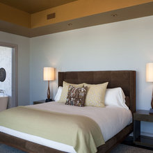 Tray ceilings & Medallions & Painting ideas