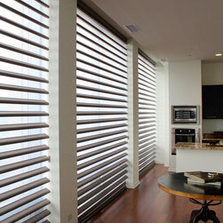 Hunter Douglas Pirouettes - Chicago - Window Treatments