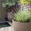 How to Choose the Right Plant Container
