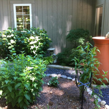 Rain Garden Milford Michigan