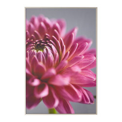 PINK DAHLIA WALL ART &ndash; PETALS - Products
