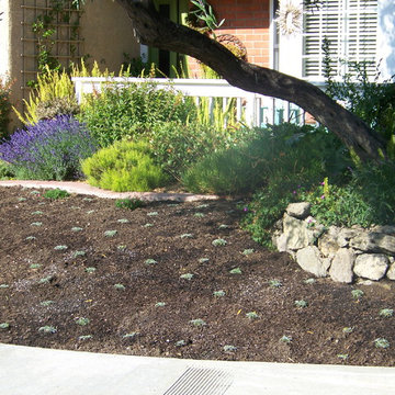 Lawn Replacement Thousand Oaks