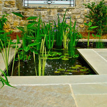 Fish Pond