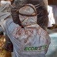 Ecorattic's profile photo