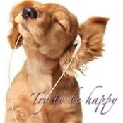 Ramy Ticola's photo