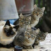 Sean-Claudius Fleury's photo