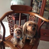Nancy Santos's photo
