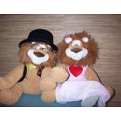 Foto von Sally Lion