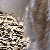 Edna Gaub's photo