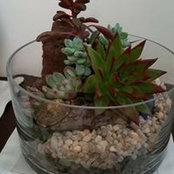 Claudette Avila's photo
