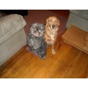 Kimberly Thomas's photo
