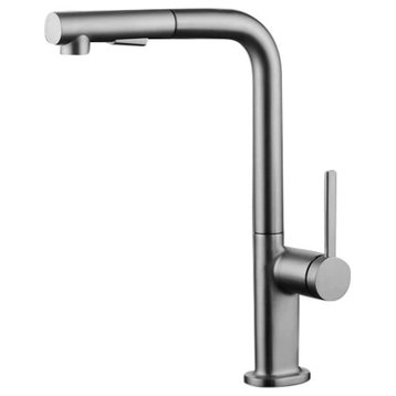 Sophia Modern Kitchen Faucet With 2 Jets, Chrome