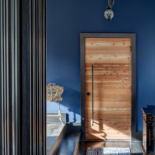 Idéer för eklektiska foajéer, med blå väggar, mörkt trägolv, en enkeldörr, ljus trädörr och brunt golv